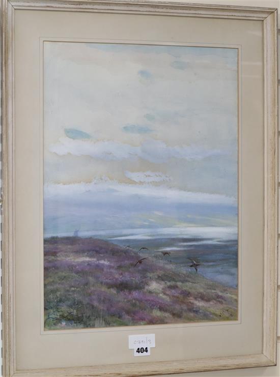 J.C.T. 1912, watercolour, Grouse over moorland, initialled, 51 x 37cm.